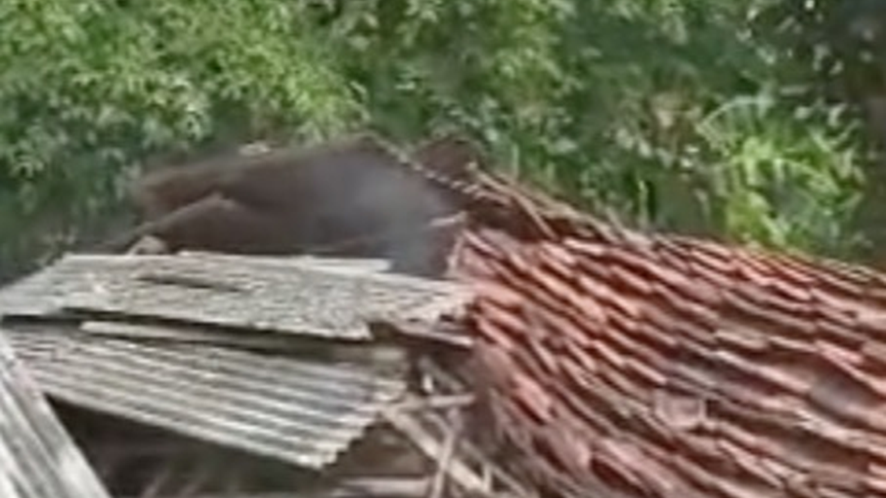 Viral Detik-Detik Rumah Tiba-Tiba Ambruk, Ternyata Begini Faktanya