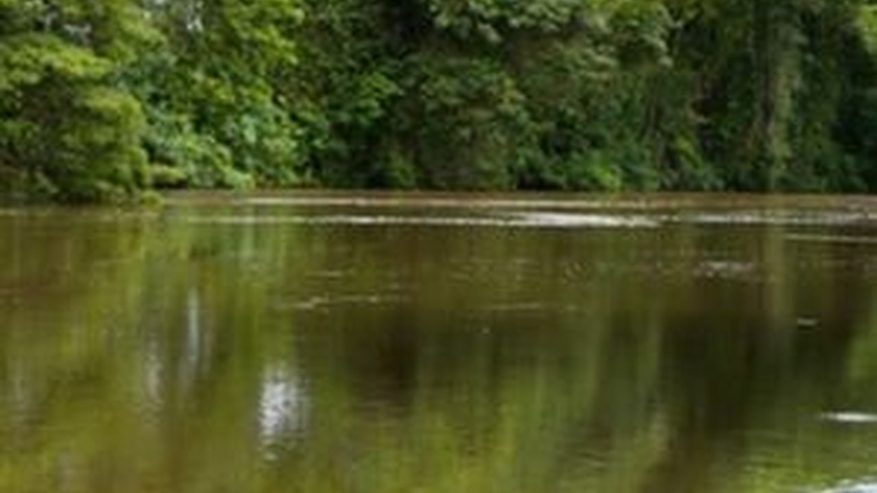 Batu Bergambar Wajah Manusia Berusia 2.000 Tahun Muncul dari Sungai Amazon, Begini Wujudnya