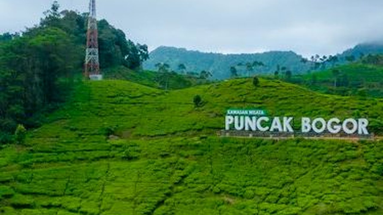 Wisata Puncak Bogor Populer, Seru dengan Pemandangan yang Indah