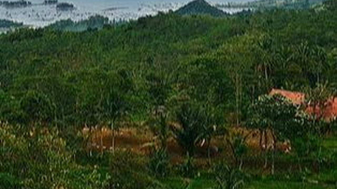 7 Wisata Purwakarta yang Indah dan Memesona, Wajib Dikunjungi