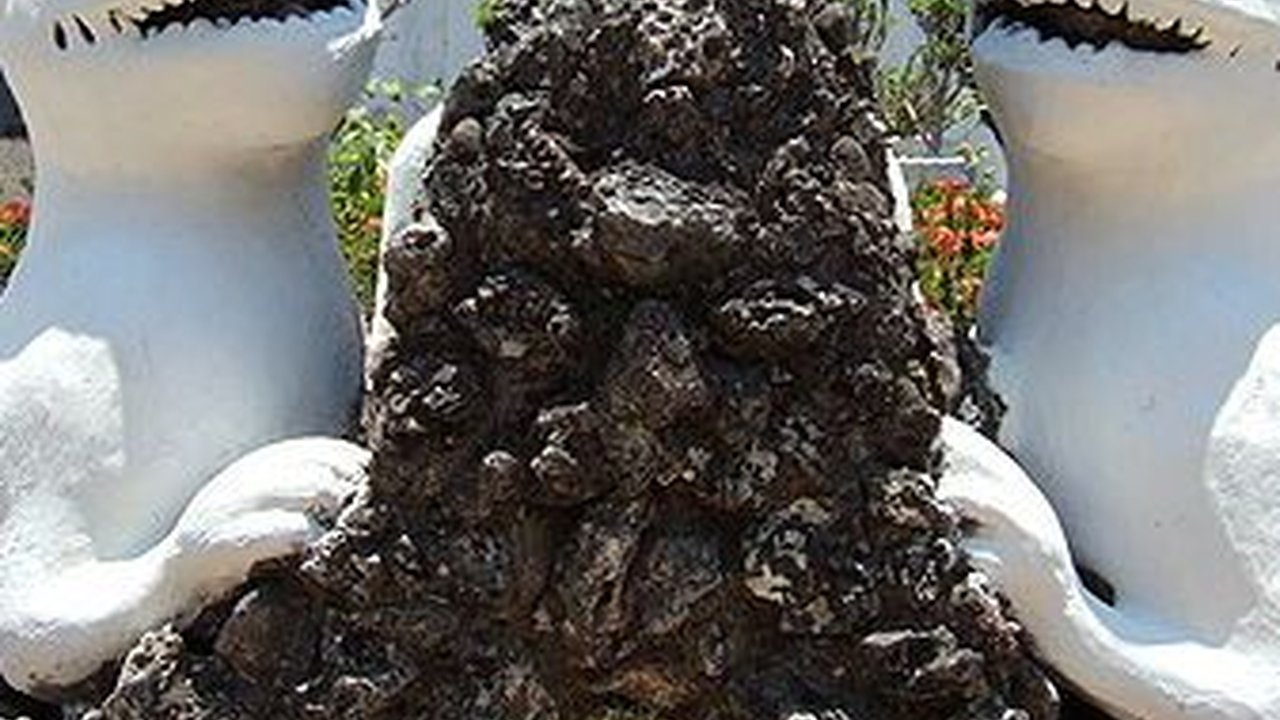 Sejarah Asal-usul Kota Cirebon, Bermula dari Musala Kecil Tahun 1447