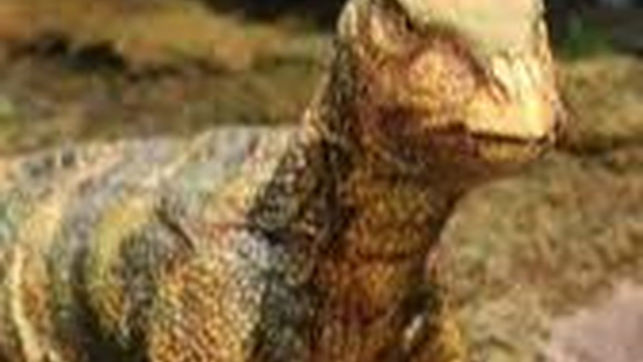 Penemuan Fosil Spesies Baru dari Dinosaurus Ornithopod Mulai Digali di Texas