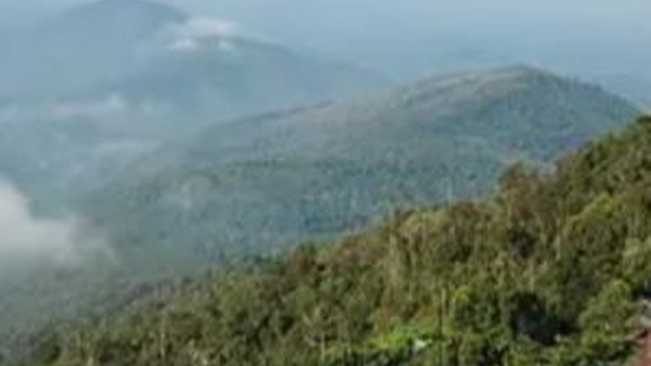 Menjelajahi Kekayaan Alam di Geopark Meratus, dari Hutan Hujan hingga Mata Air Panas Non Vulkanik