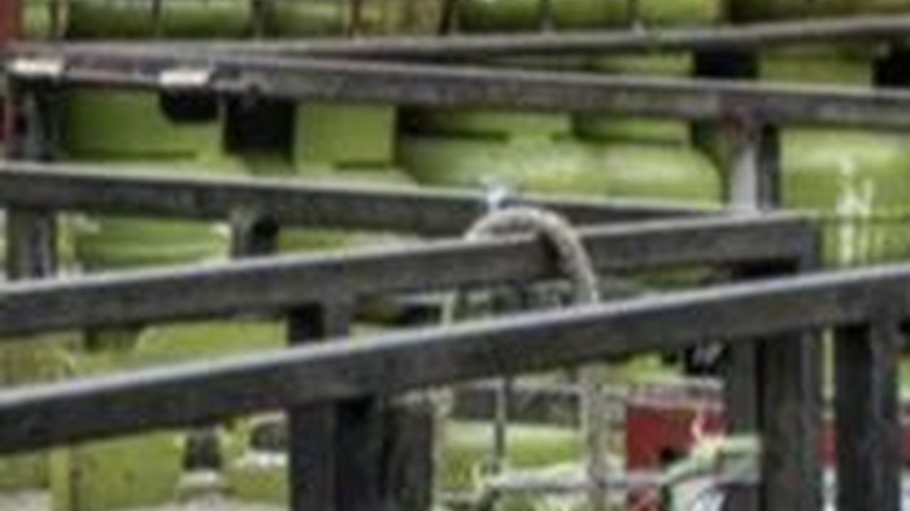 Pertamina Butuh Waktu 1 Tahun untuk Verifikasi Total Konsumen Berhak Beli LPG 3 Kg