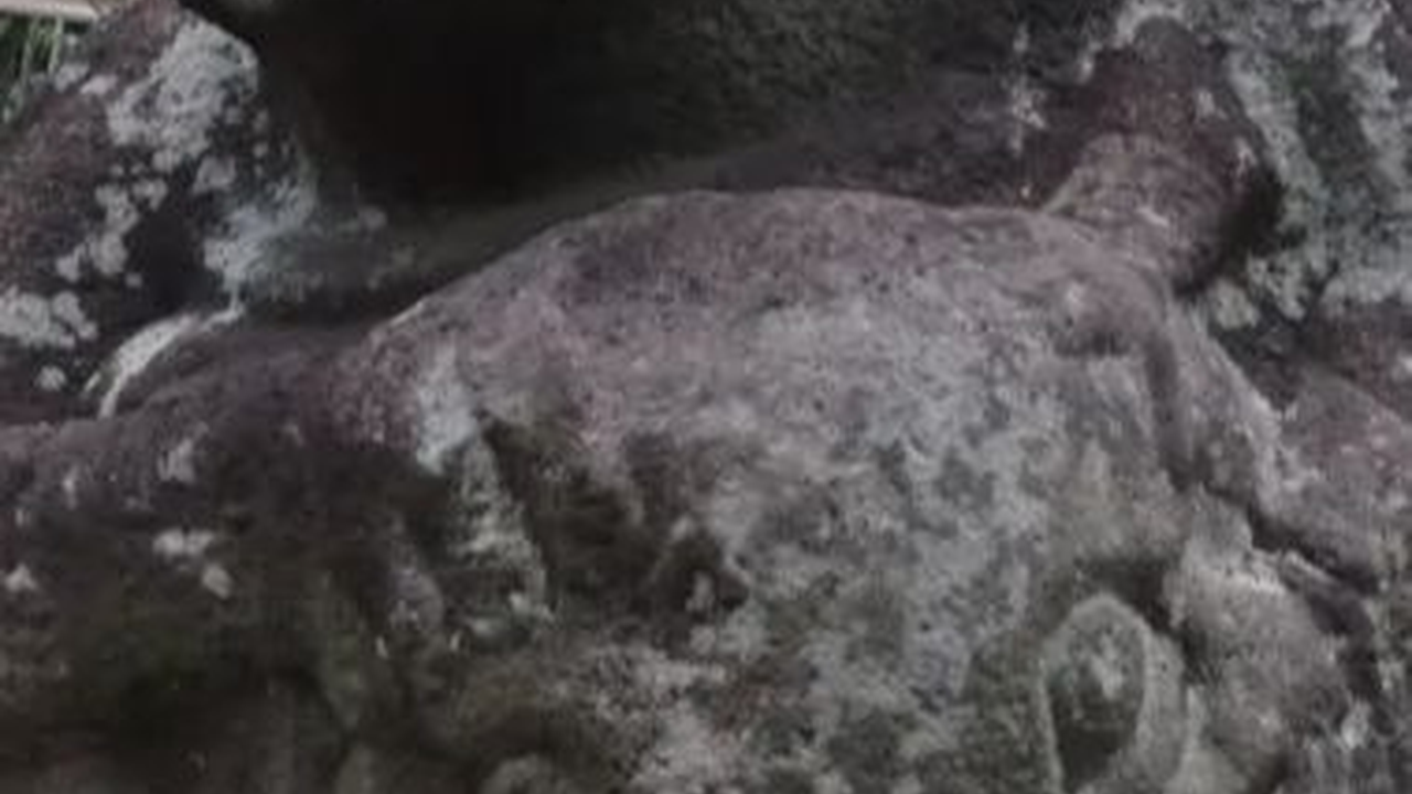 Menguak Situs Batu Megalitik Pasemah, Lanskap Peradaban Sumatra Selatan di Lereng Gunung Dempo