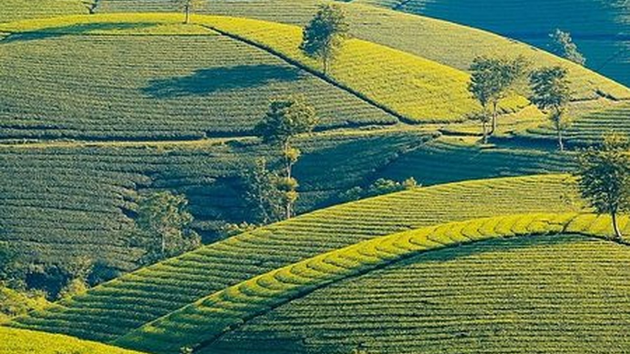 Wisata Boyolali Terbaru, Destinasi Liburan yang Asri dan Terjangkau