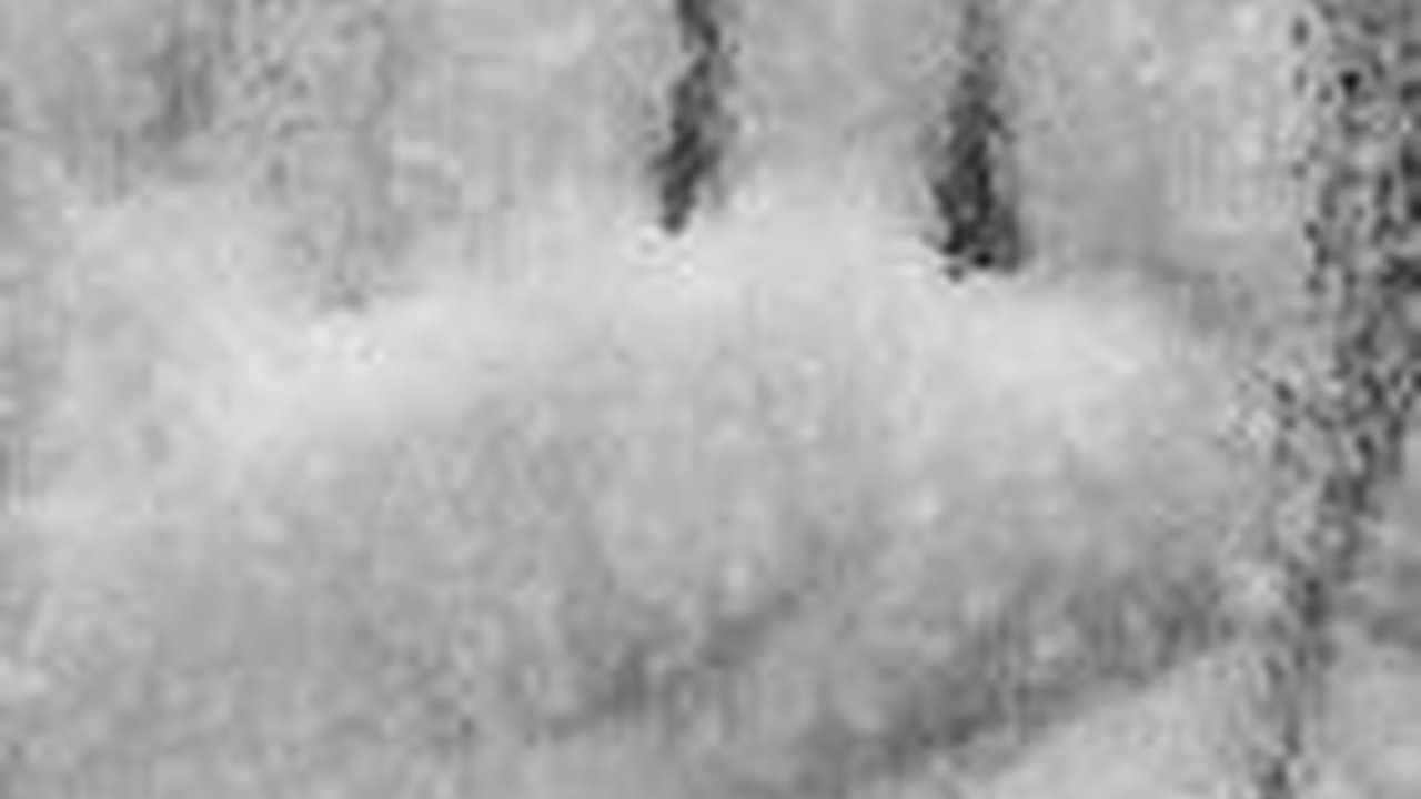 Siswi SD Ngadu Dilecehkan Sejak Kelas 3, Guru SD di Bogor Dipolisikan