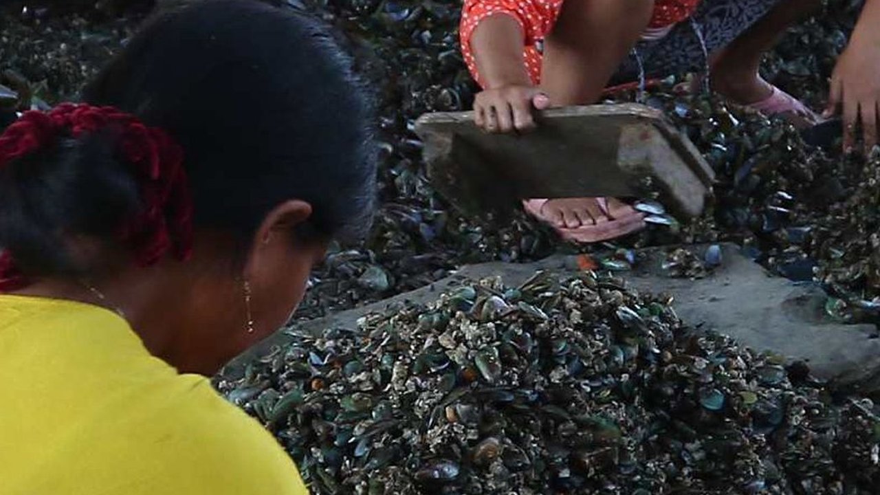 Limbah Kulit Kerang Ternyata Bisa ‘Disulap’ Jadi Paving Block & Closet Jongkok, Begini Caranya