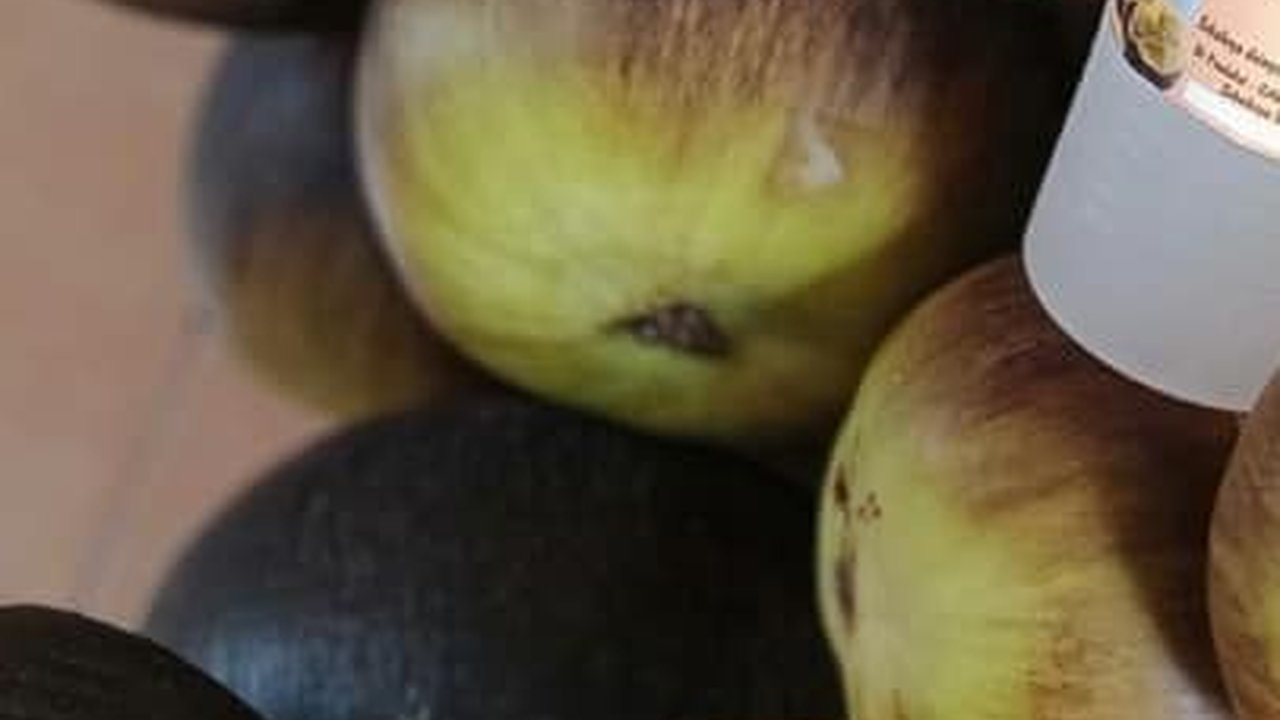 Manfaat Buah Lontar untuk Kesehatan, Punya Nutrisi Tinggi dan Bisa Cegah Penyakit Kronis