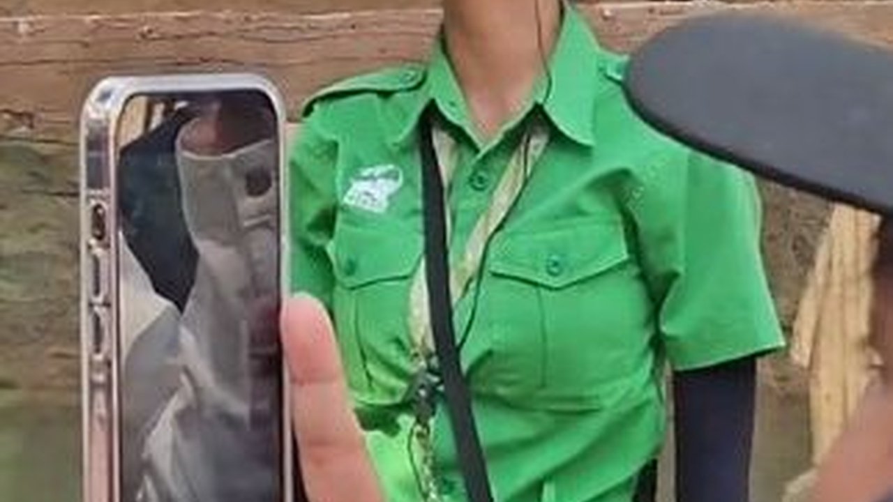 Viral Pemandu di Kebun Binatang Mirip Pevita Pearce, Sang Artis Bereaksi Begini