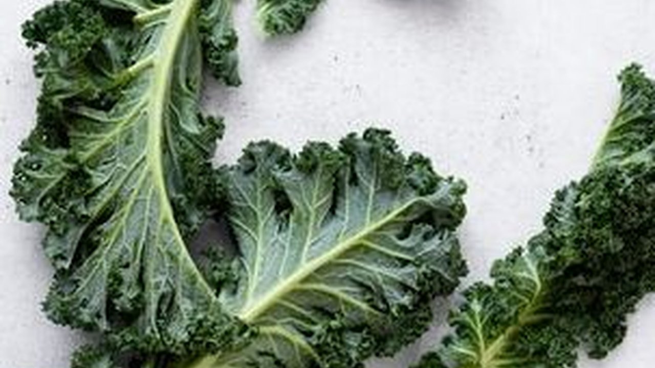 Resep Kale yang Enak dan Lezat, Mudah Dibuat