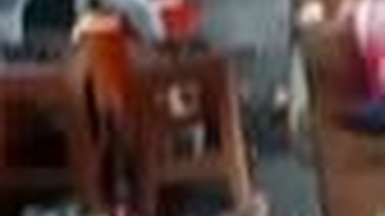 VIDEO: Hujan Deras, Pohon Beringin Tumbang Timpa 3 Warung di Blitar, 10 Orang Luka