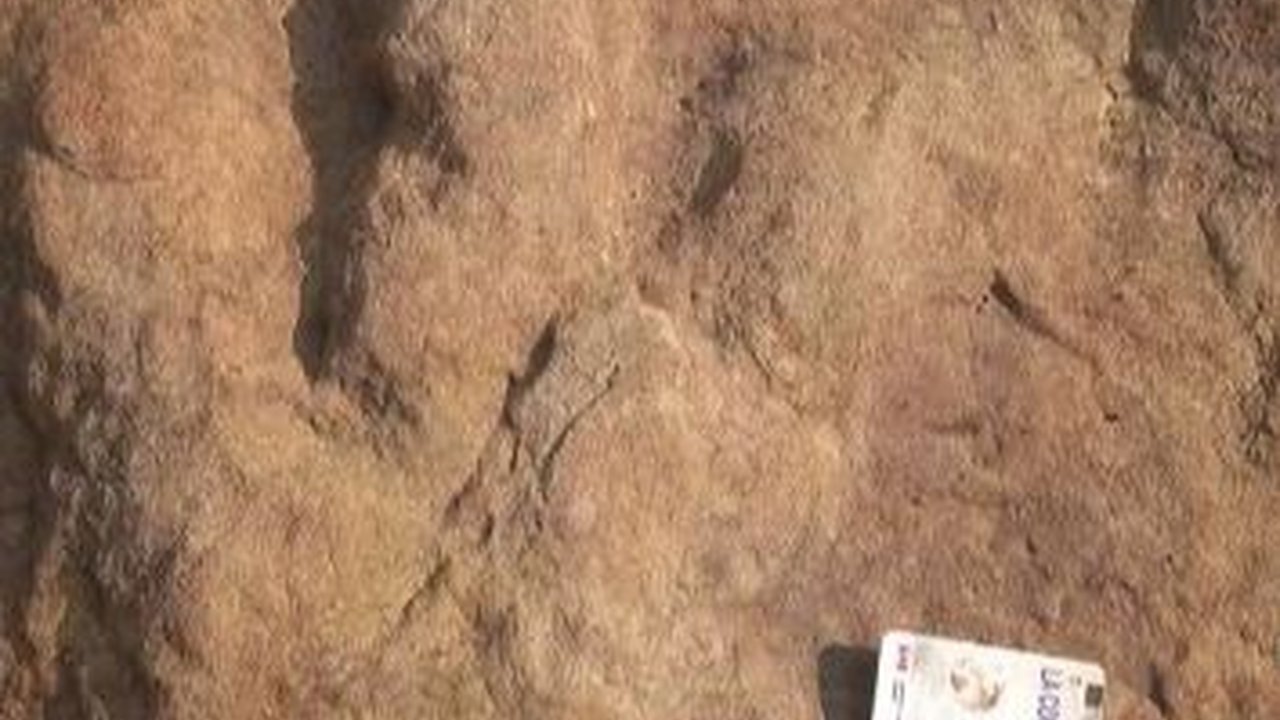Ini Sosok Penemu Fosil Dinosaurus Pertama Kali, 500 Tahun Lebih Dulu dari Ilmuwan Inggris