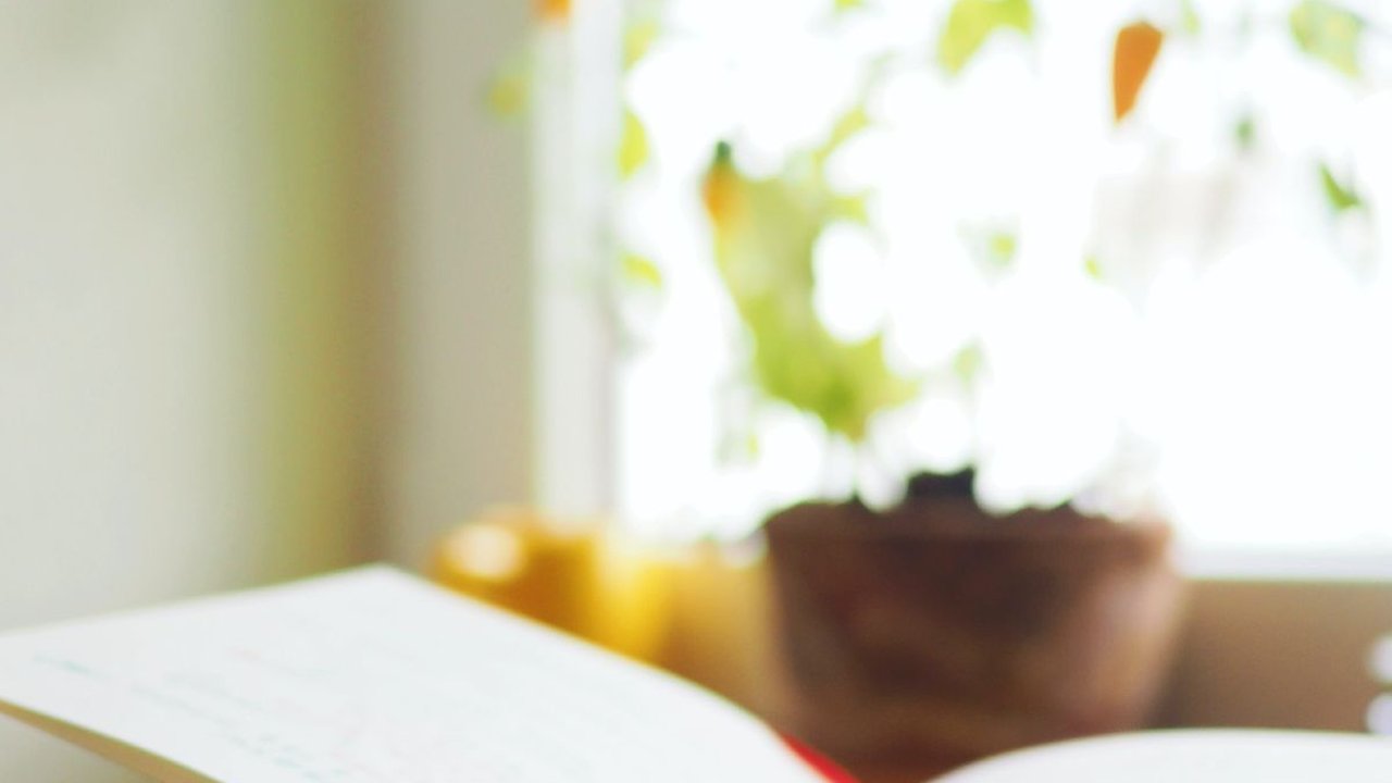 130 Bahasa Arab dan Artinya yang Bisa Dihafalkan untuk Menambah Kosakata