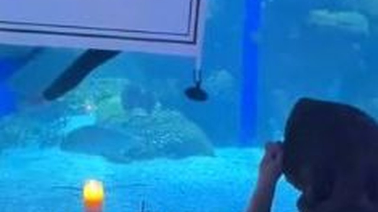 Mengira Hanya Diajak Makan Romantis sambil Lihat Ikan, Wanita Ini Kaget saat Dilamar Kekasih