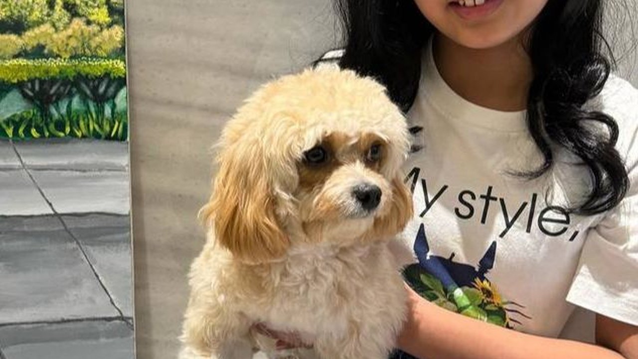 Cantik dan Sudah Beranjak Remaja, Potret Kianna Anak Renny Sutiyoso yang Miliki Senyuman Manis