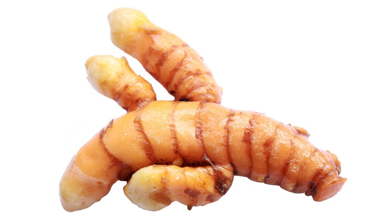 Pemanfaatan Temu Putih untuk Melawan Radikal Bebas