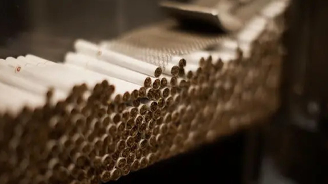 Petugas memperlihatkan rokok ilegal yang telah terkemas di Kantor Dirjen Bea Cukai, Jakarta, Jumat (30/9). Rokok ilegal ini diproduksi oleh mesin dengan total produksi 1500 batang per menit.