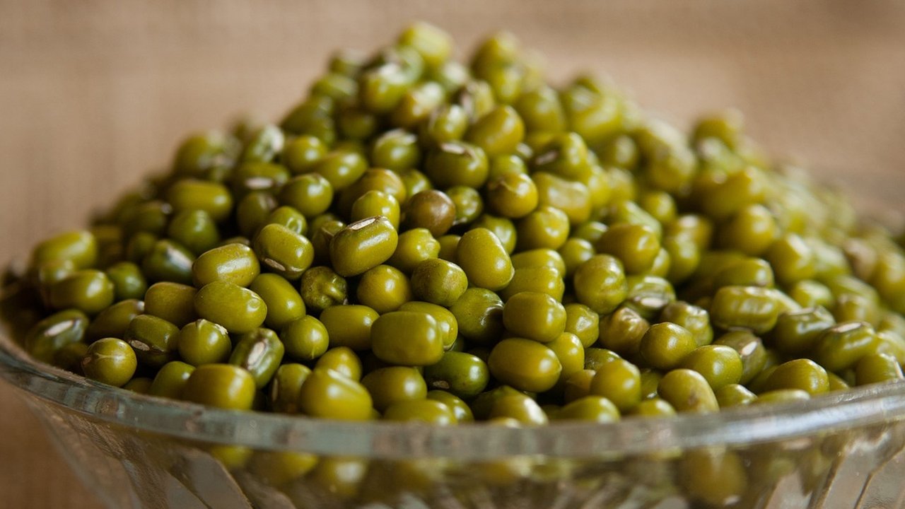 kacang hijau