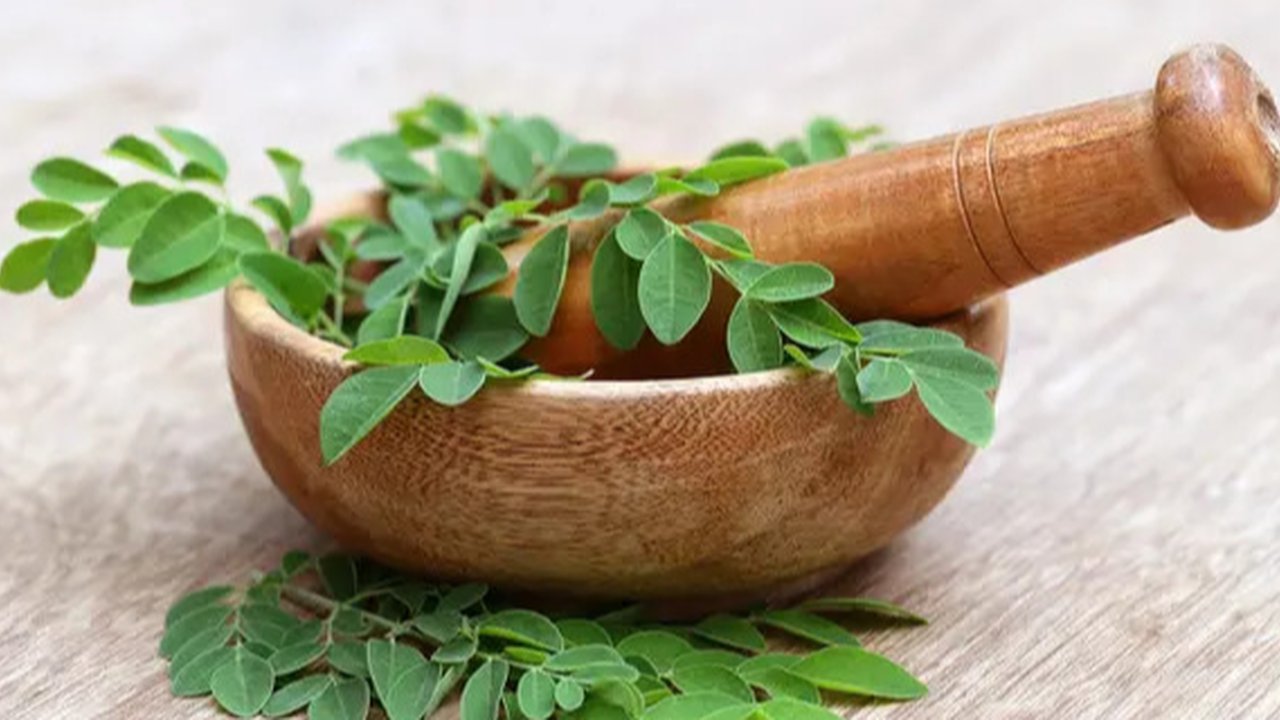 Daun Kelor (Sumber: paulsober.wordpress.com)