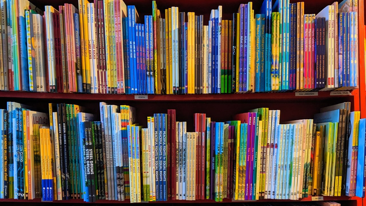 Penyebab Literasi Rendah di Indonesia, Salah Satunya Minim Sarana Prasarana