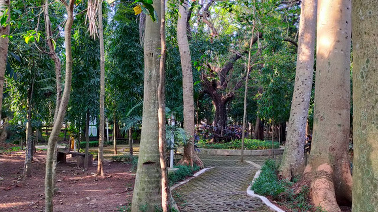<p>Pepohonan rindang di dalam Hutan Kota Malabar yang merupakan bagian dari Rimba Kota berdasarkan Rencana Tata Ruang Wilayah Kota Malang (Liputan6.com/Zainul Arifin) </p>