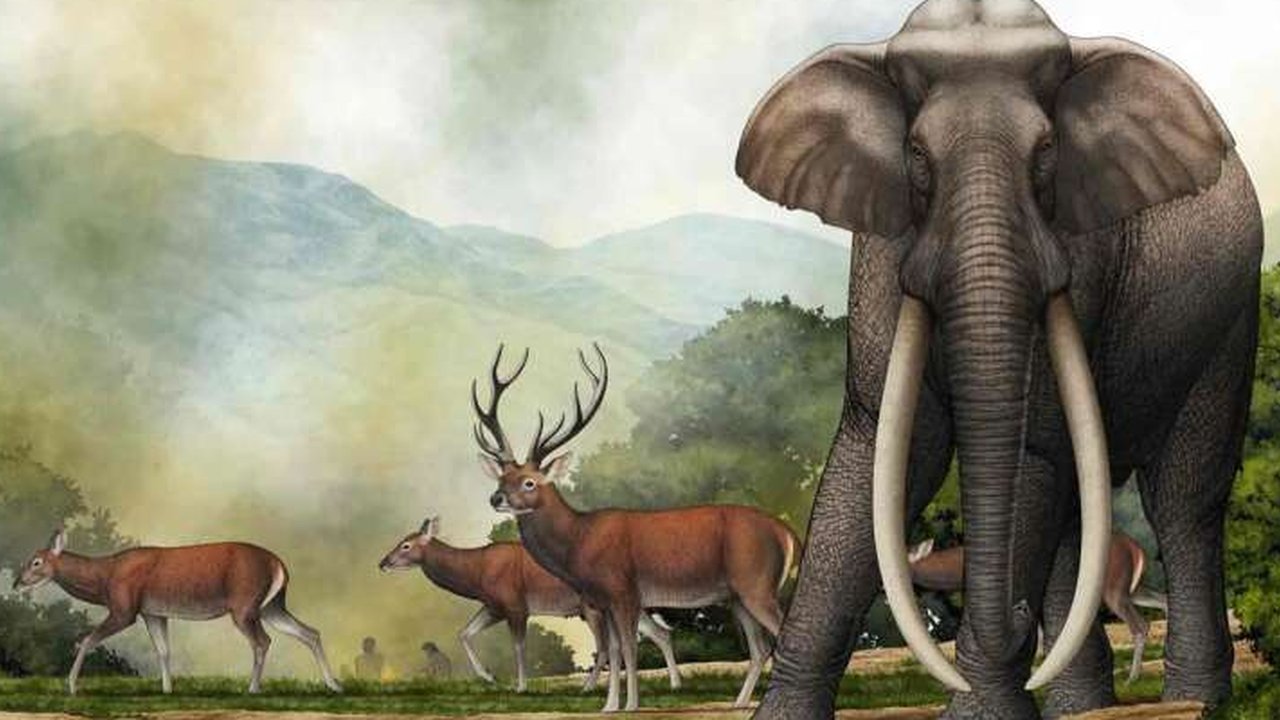 gajah purba