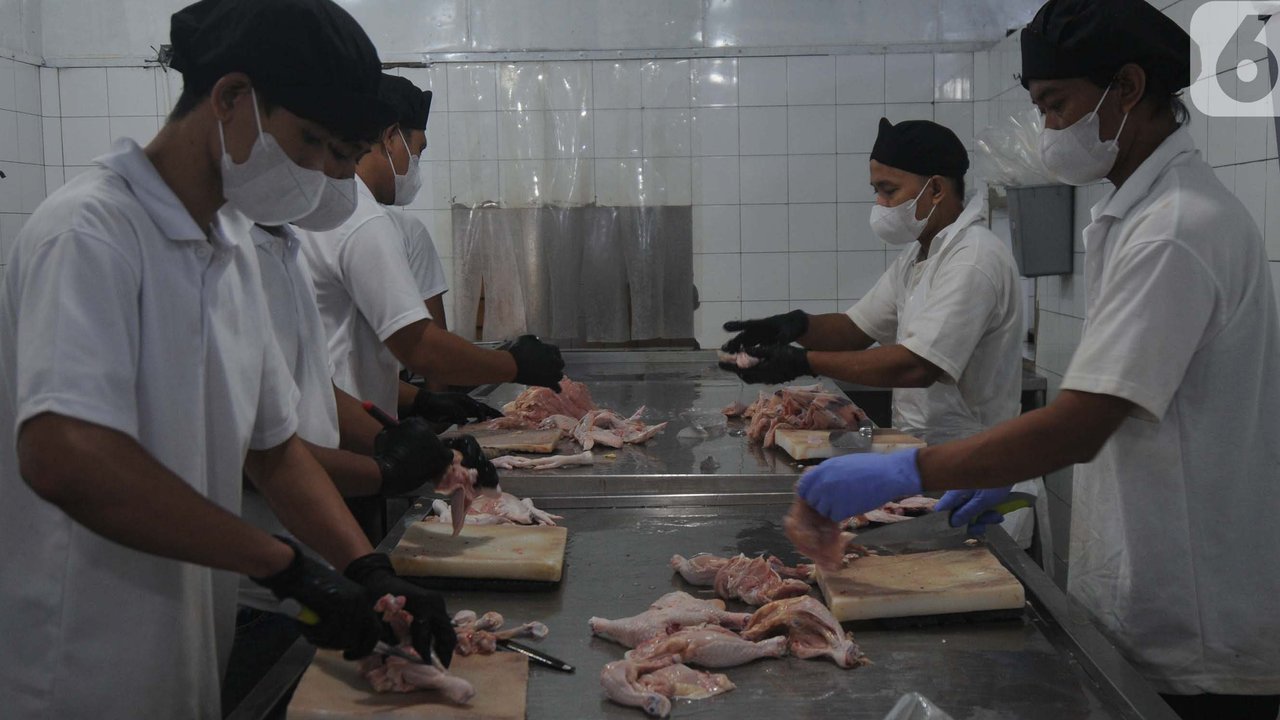 Menteri Perdagangan Zulkifli Hasan meminta agar semua rumah potong ayam harus bersertifikat halal. (merdeka.com/Imam Buhori)