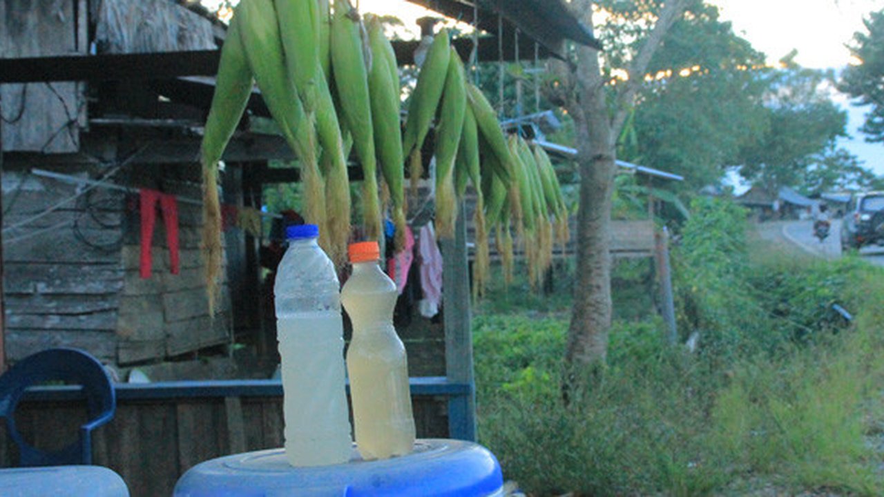 Penjelasan Lengkap Kemenag Soal Produk Tuak, Bir dan Wine Dapat Sertifikat Halal