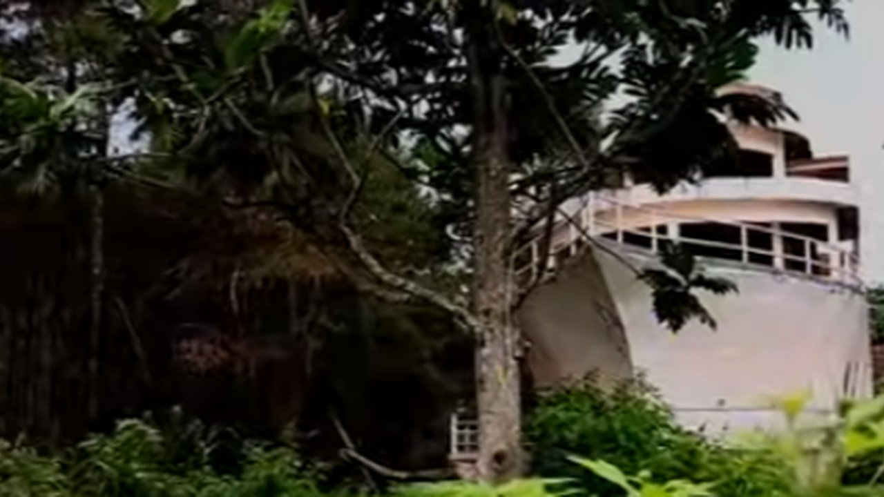 Bikin Melongo, Potret Kapal Mewah Terdampar di Tengah Hutan,