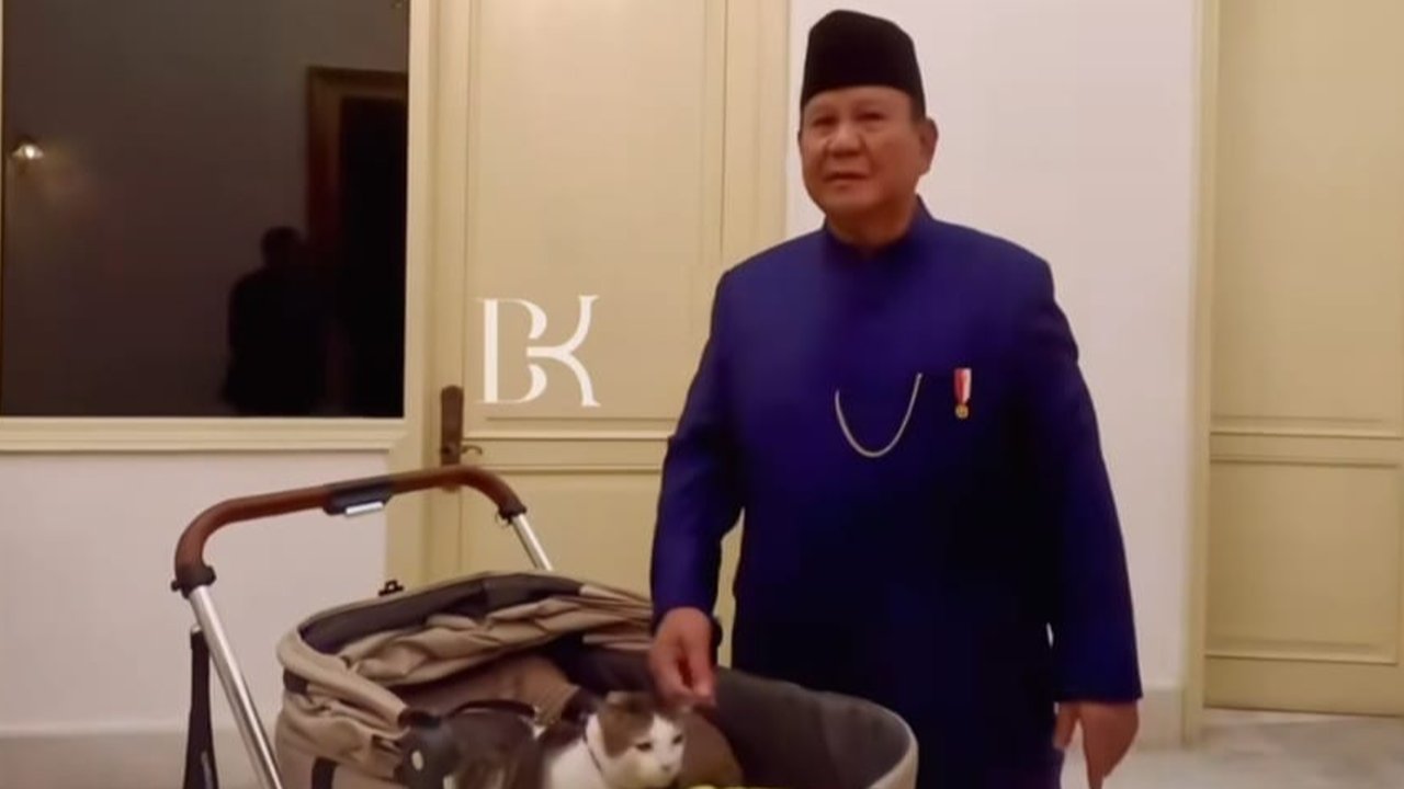 Bobby The Cat jadi 'Penguasa Istana Merdeka' Dampingi Prabowo