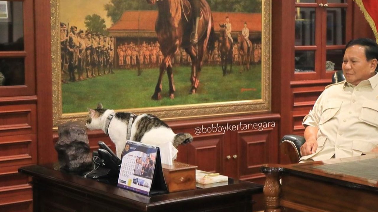 Naik Pangkat Kucing Bobby Kesayangan Presiden Prabowo