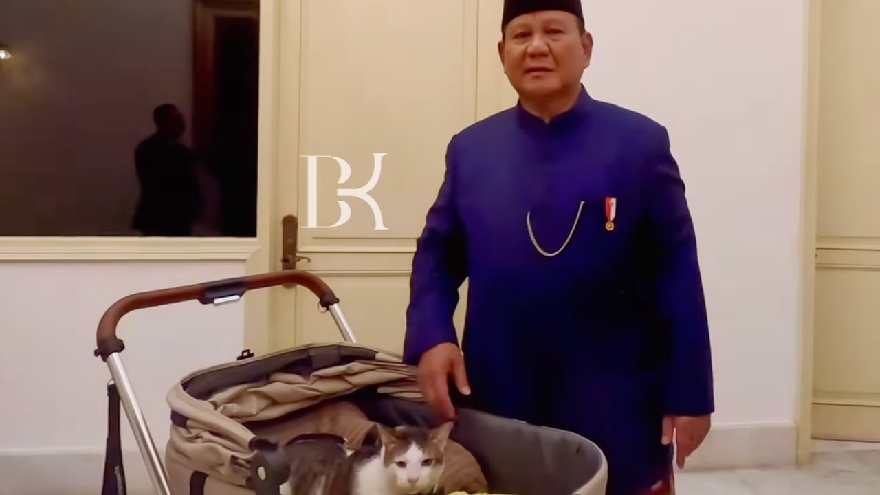 Netizen Main Tebak-tebakan Harga Stroller Bobby Kertanegara, Kucing Peliharaan Presiden Prabowo