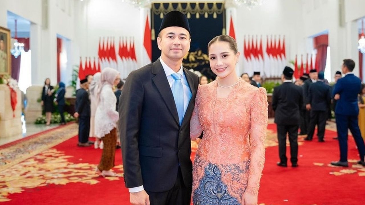 Menurut pasal 6 Peraturan Presiden tersebut, hak keuangan dan fasilitas bagi penasihat khusus presiden setara dengan jabatan menteri. Gaji pokok menteri negara sendiri telah ditetapkan dalam Peraturan Pemerintah Nomor 60 Tahun 2000.