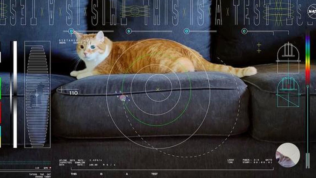 nasa pancarkan video kucing