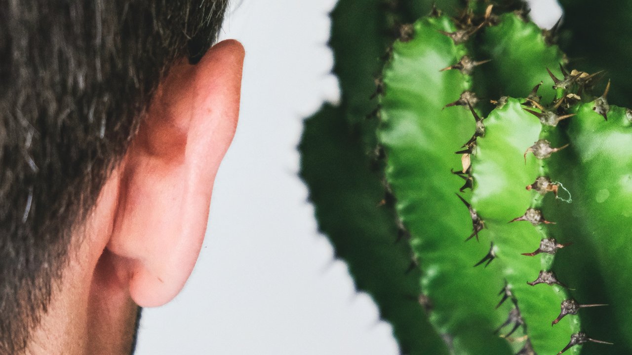Mitos Lubang Kecil di Telinga Menurut Jawa, Tanda Hal Ini