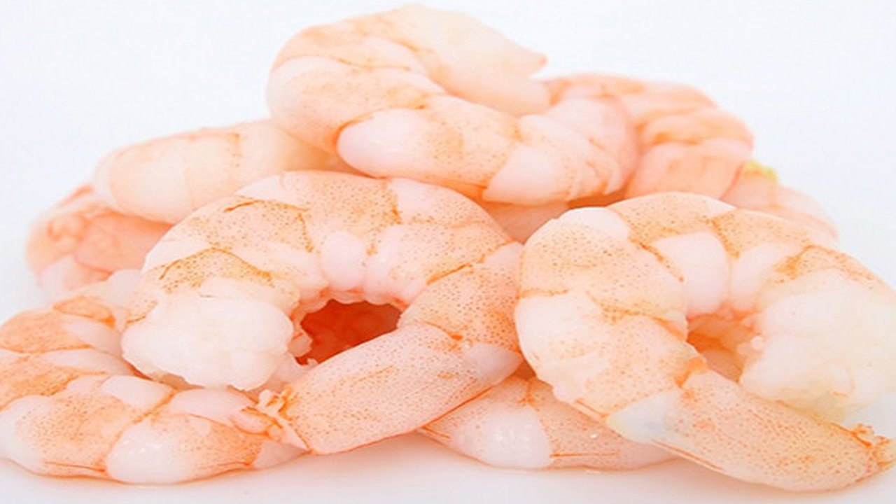 Ilustrasi udang (Sumber: Piabay/Shutterbug75)