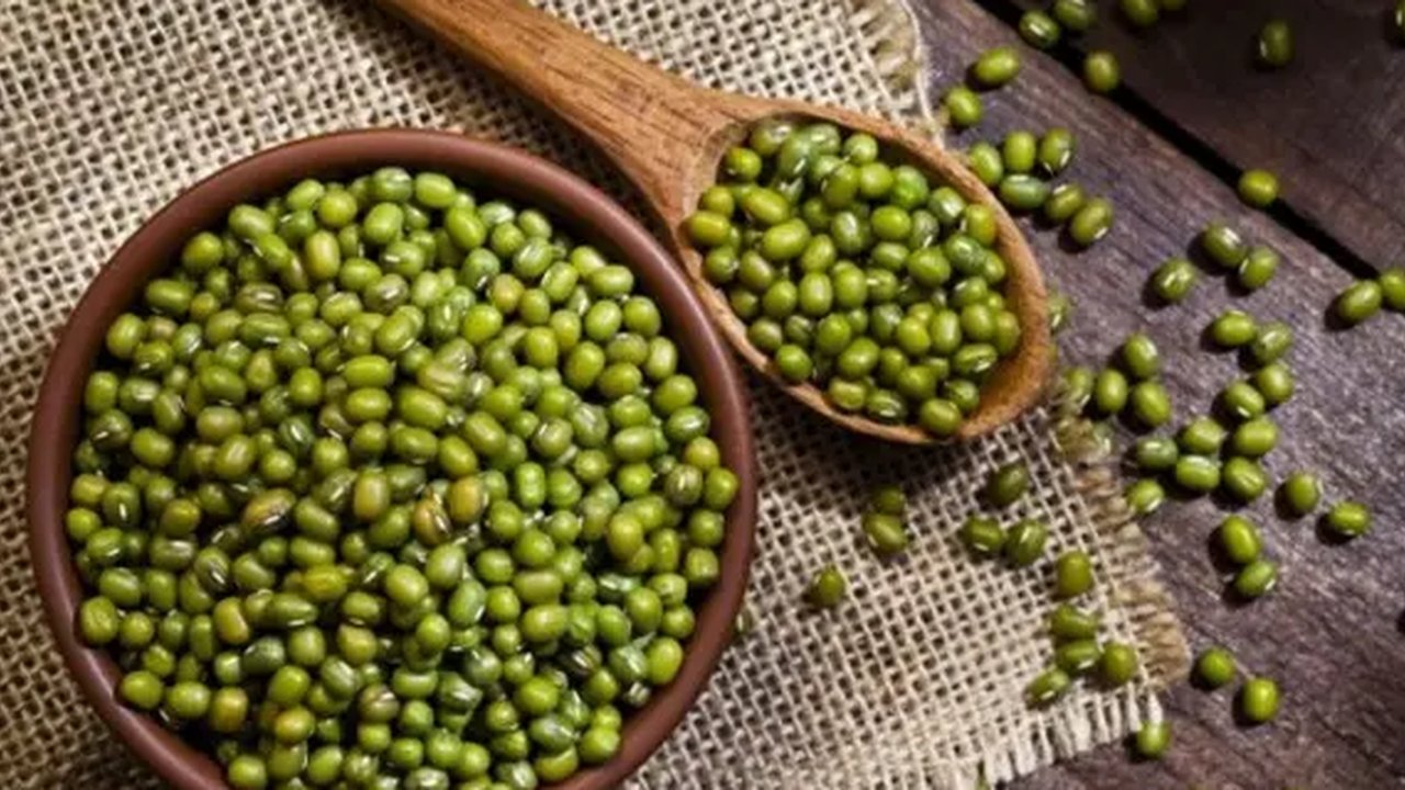 Ilustrasi kacang hijau.