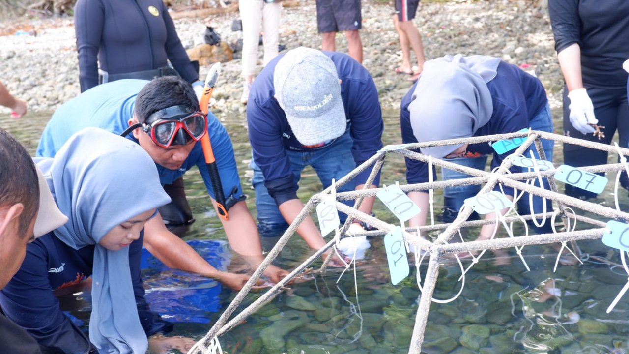 PNM Gandeng Pemuda dalam Konservasi Terumbu Karang di Ambon