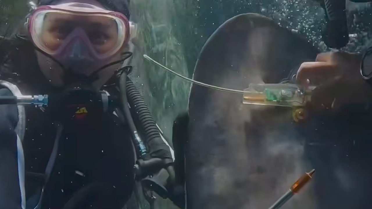 Potret Prilly Latuconsina Pasang Penanda Satelit di Sirip Ikan Hiu Paus, Menegangkan tapi Seru