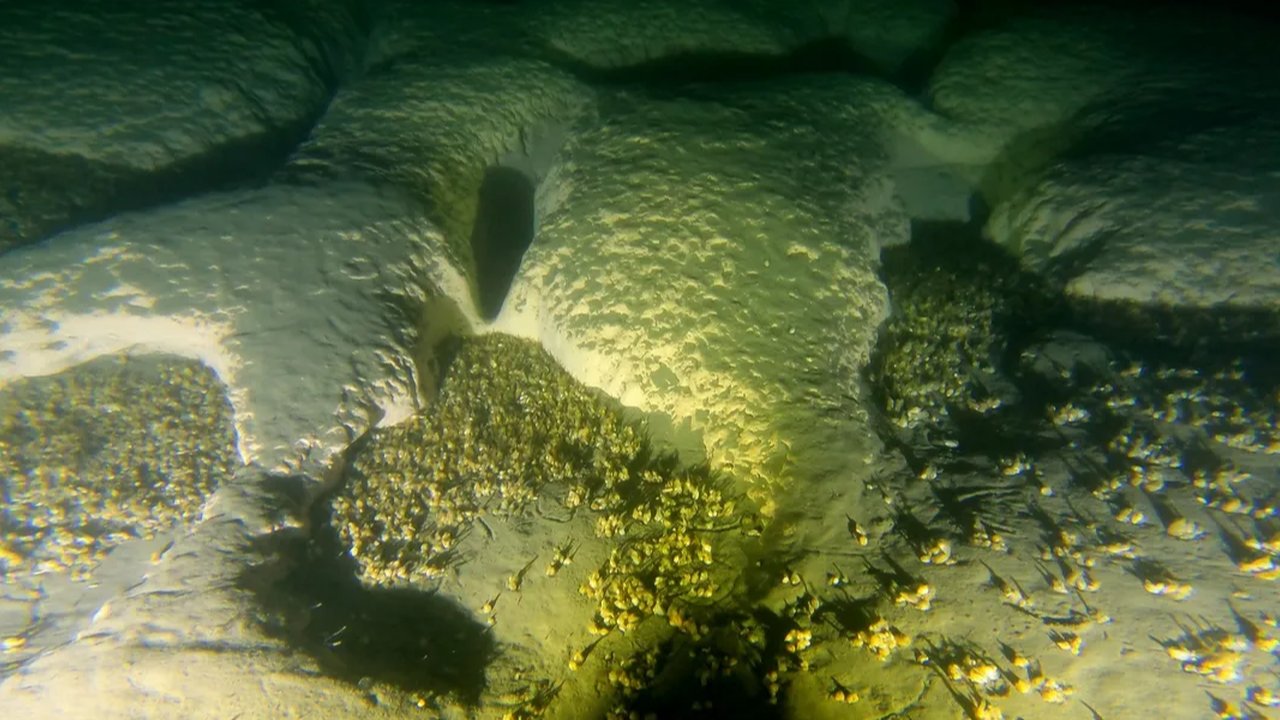 lubang di dasar danau