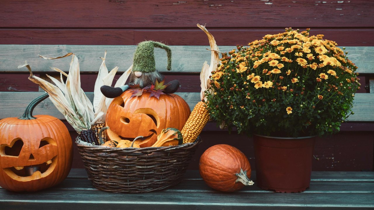 Funny Halloween messages.