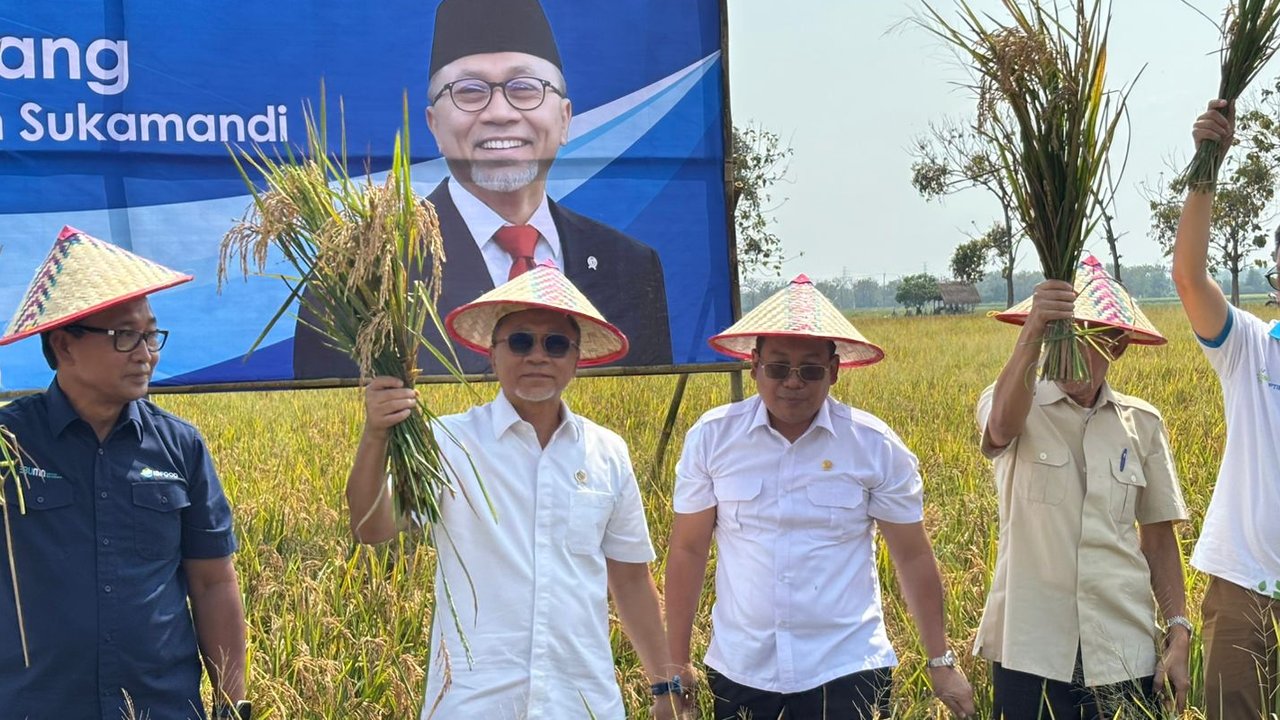 Menteri Koordinator Pangan Zulkifli Hasan