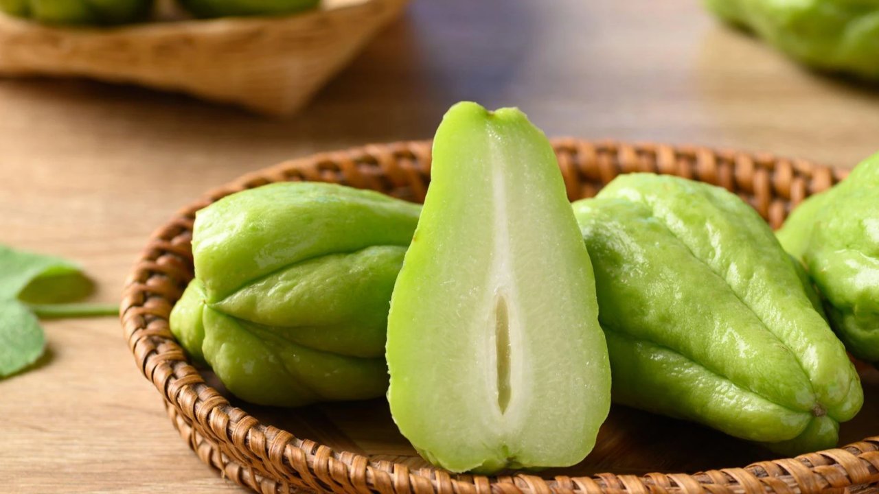 Ilustrasi labu siam.