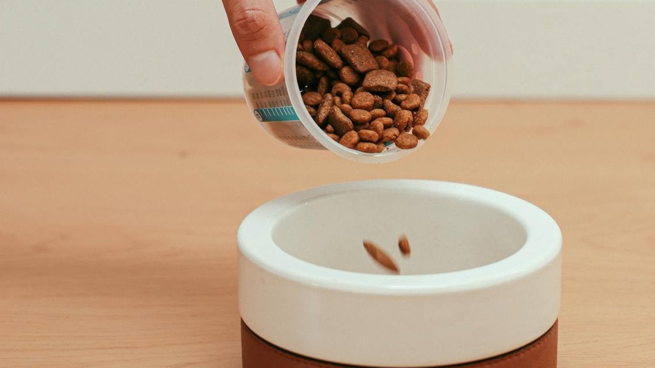 Ilustrasi Pet food