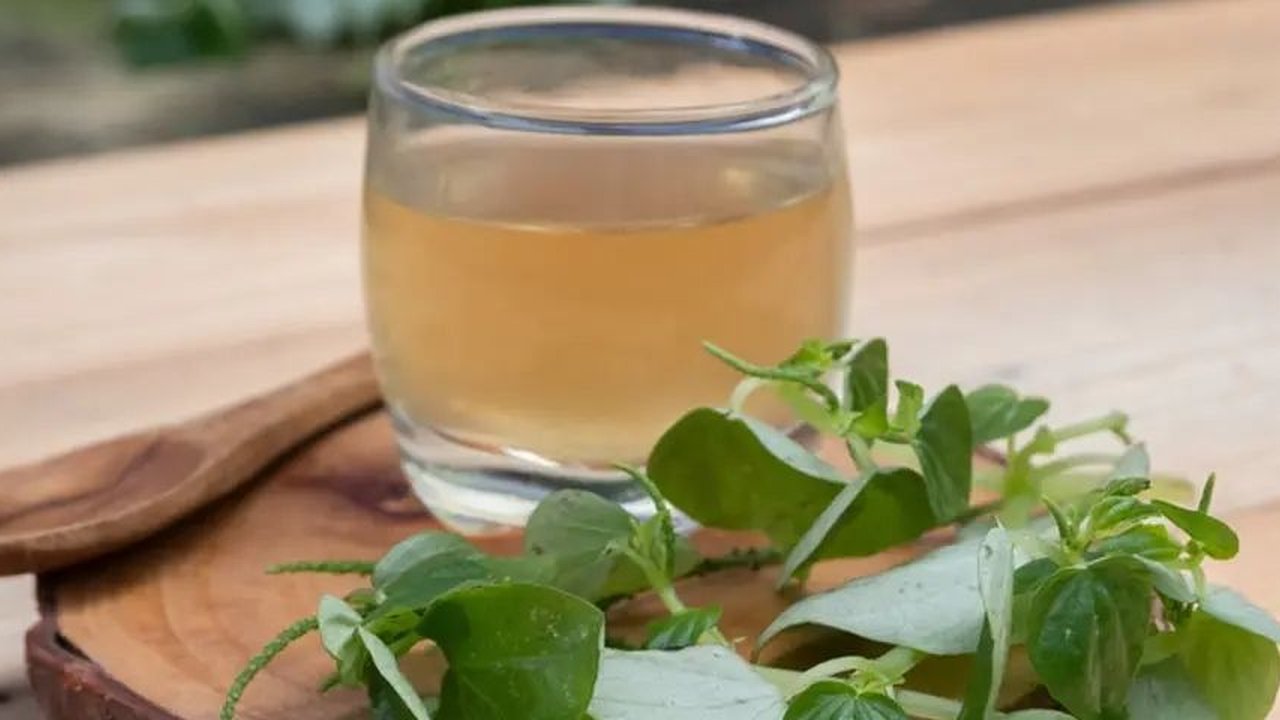 jamu sirih cina