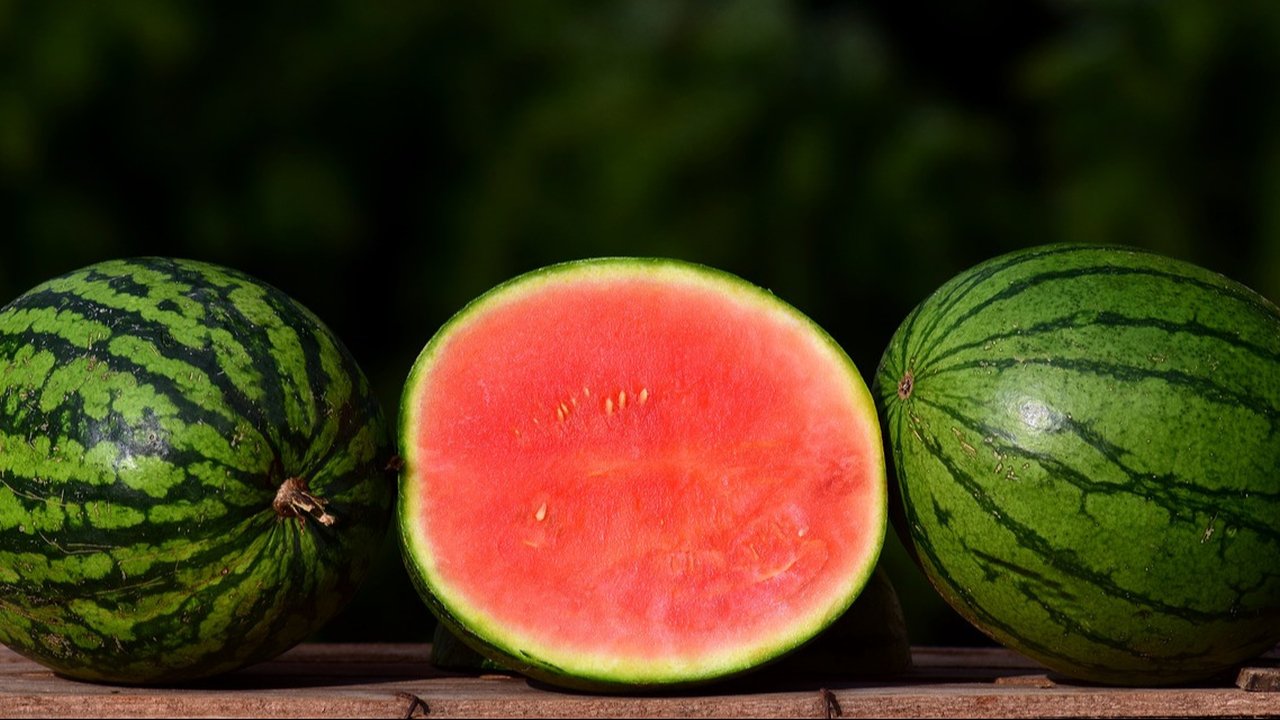 Bolehkah Makan Semangka dan Susu?