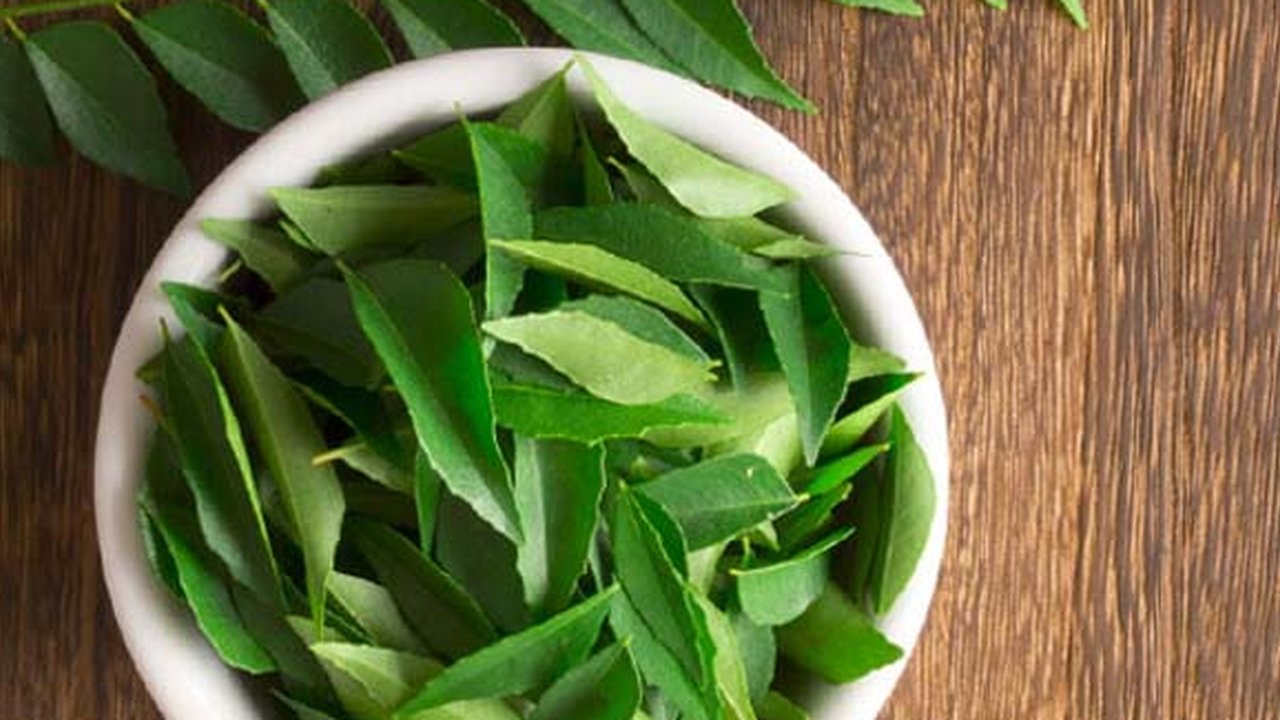 Daun Salam dan Minyak Kelapa dapat menjaga dan merawat keindahan rambut panjang dan lebat Anda