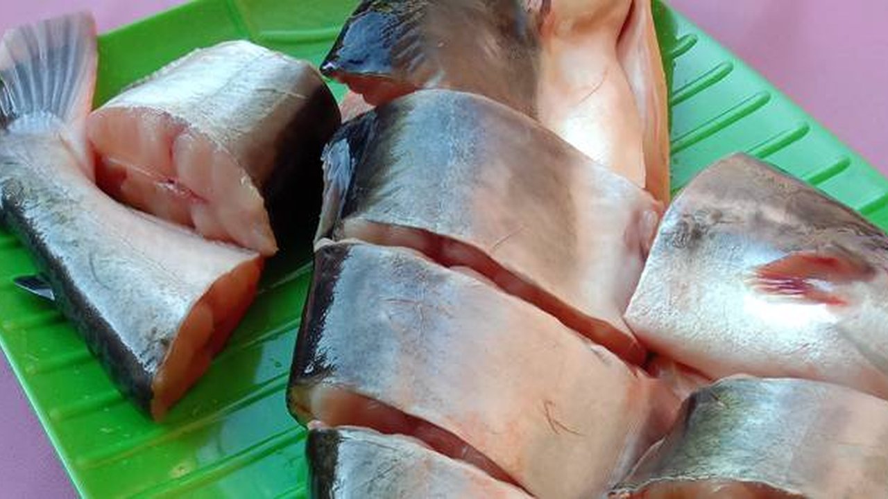 Ilustrasi ikan patin.