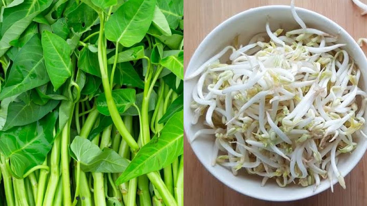 Ilustrasi kangkung dan tauge.